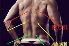 男子上健身教练,打破传统观念，引领健康生活新潮流
