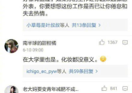 cpa 小姐姐,揭秘财务领域的魅力与挑战