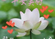 一句美好的祝福语,美好祝福伴你每一天”
