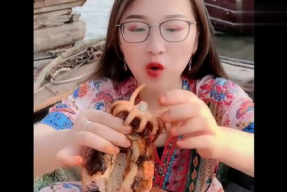 乌贼小姐姐,探寻深海中的神秘魅力