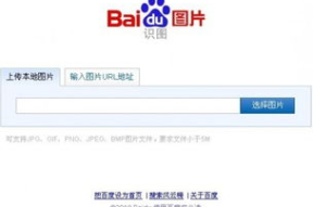 百度图片,视觉世界的无限魅力