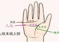 小姐姐手相,命运线与爱情线的神秘解读