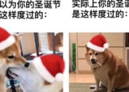 搞笑照片沙雕图集,沙雕搞笑照片集锦，欢乐瞬间尽收眼底