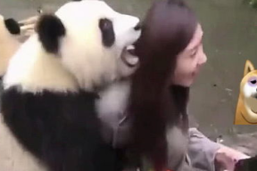 国宝小姐姐,揭秘古代文物背后的传奇故事