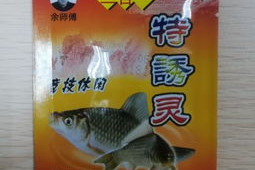 小姐姐鱼饵,小姐姐鱼饵的神奇魅力揭秘